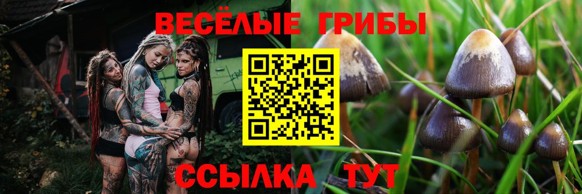 Похвистнево  Псилоцибиновые грибы GOLDEN TEACHER  Вход с VPN  Псилоцибиновые грибы MAGIC MUSHROOMS 